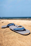 Foamlife  Sully - Mens Flip Flops - Stone Grey