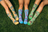 dino sock collection, multiple socks, feet, live action socks.