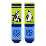 SDZ Penguins