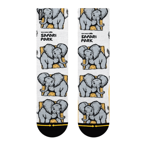 baby elephant, white, orange, gray, san diego zoo, partnership