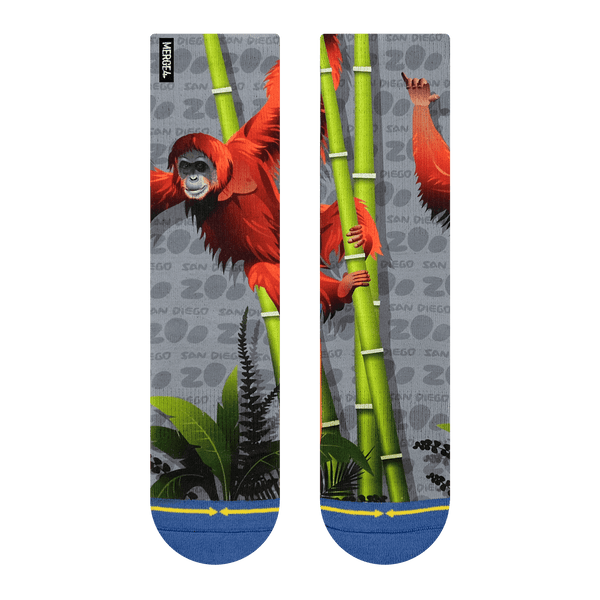 orangutan, front, bamboo, san diego zoo, gray, leaves