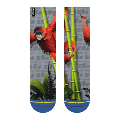 orangutan, front, bamboo, san diego zoo, gray, leaves