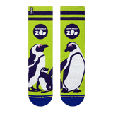 penguin, black and white, green, san diego zoo, black stripes, green canvas