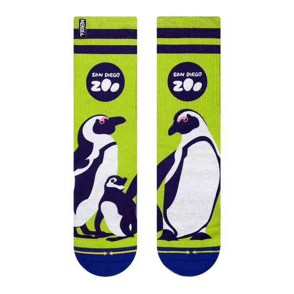 penguin, black and white, green, san diego zoo, black stripes, green canvas