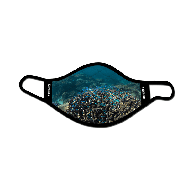 reef, blue fish, blue, coral, ocean deep, under the sea, face mask.