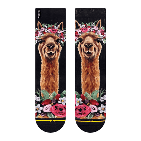llama, animal, zoo, giraffe, monkey, racoon, flower crown, long neck, black sock.