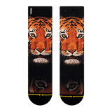 Tiger, lion, panther, cat, water color, eye of the tiger, orange, black spots, white fur.