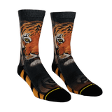 Lion, tiger, bear, oh my, tony the tiger, panthers, king of the jungle.