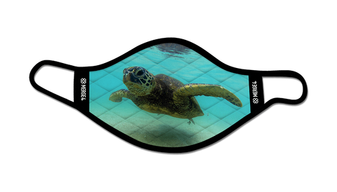 Swimming turtle, under the sea, current, shimmer, green, aqua blue, fins, eyes, shell, sand.