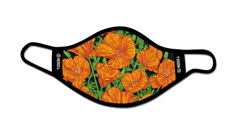 poppy, flower, green, plants, nature, california poppy,