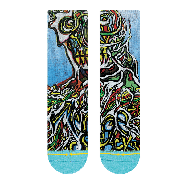 Dual canvas, red, green, white, blue, yellow, light blue toes, man, skeleton, veins.