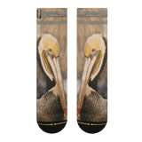 pelican, front, yellow, white, grey, grey striped, bird, sea bird.