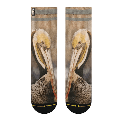 pelican, front, yellow, white, grey, grey striped, bird, sea bird.
