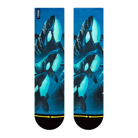 killer whale, deep blue sea, black and white, whale, orca, pack of whales, breaching